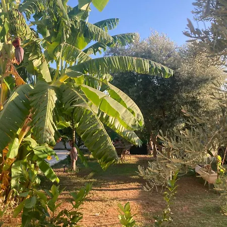 Luxury Family מלון