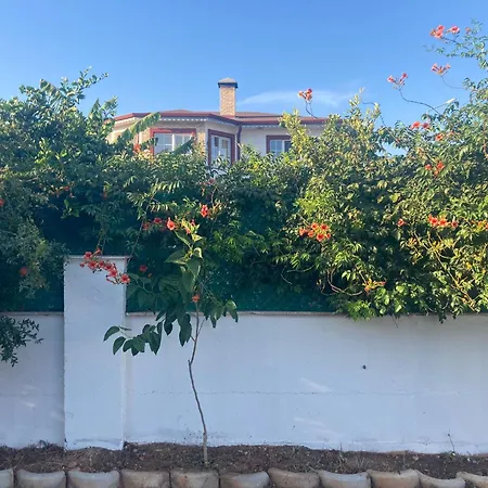Luxury Family באלאק